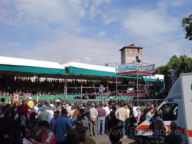 Adunata Alpini BAssano 2008 MK-488.JPG